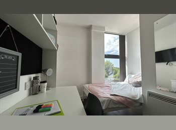 Roomgo UK - Urgent Tnancy Takeover Ensuite Room, Caro Living, Everton - £533 pcm