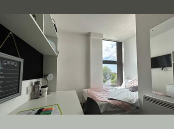 Roomgo UK - Urgent Tenancy Takeover, Everton - £533 pcm