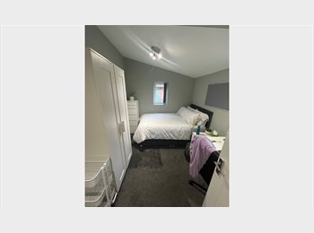 Roomgo UK - Affordable Room in Modern Student House, Loughborough - £320 pcm
