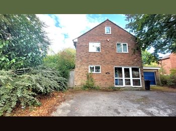 Roomgo UK - Rooms from £350 Including bills in Erdington, Short Heath - £350 pcm