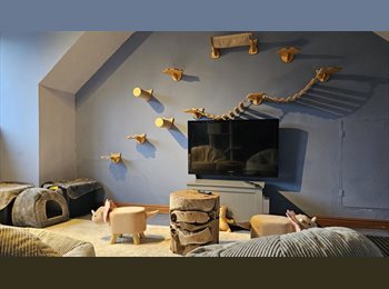 Roomgo UK - Private Room • All Bills • Wingerworth S42, Chesterfield - £625 pcm