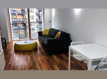 Roomgo UK - Beautiful Two Bedroom Apartment - Prime City Centre Location FLATMATE WANTED, Lancaster - £800 pcm