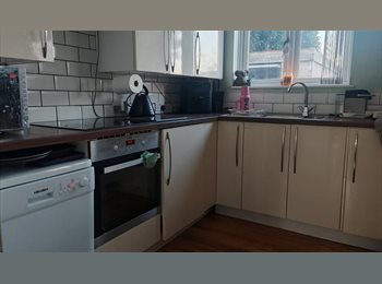 Roomgo UK - Teacher seeking lodger., Southend-on-Sea - £550 pcm