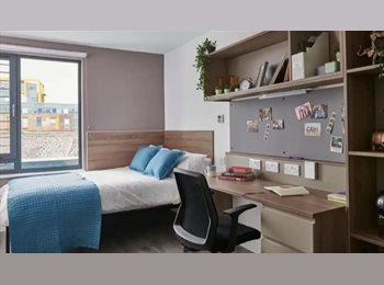 Roomgo UK - Urgent Howard Gardens tenancy takeover, Tredegarville - £750 pcm