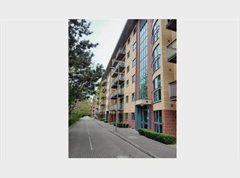 Roomgo UK - Double room with private bathroom in 2 bed apartment Colliers Wood/Wimbledon, Colliers Wood - £950 pcm