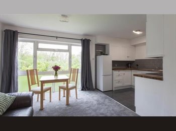 Roomgo UK - Room to Rent in Two-Bed Flat, Norcot - £450 pcm