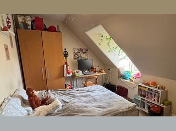 Roomgo UK - Cozy double room in Bruntsfield, Bruntsfield - £720 pcm