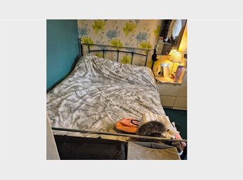 Roomgo UK - Double room, Stockwell - £700 pcm