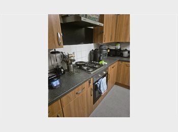 Roomgo UK - Double room, Stockwell - £700 pcm