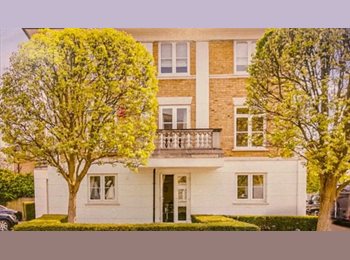 Roomgo UK - Lovely Double Room with own bathroom, Chiswick - £1,000 pcm