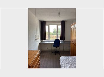 Roomgo UK - Fully Furnished Room Near University of Birmingham | Bills Included, Bournbrook - £454 pcm