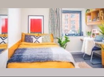 Roomgo UK - Lakeside Accommodation Birmingham, Birmingham - £676 pcm