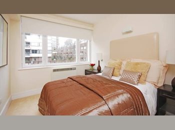 Roomgo UK - A Lovely One Bedroom Fully Furnished Flat in London, St Pancras - £150 pcm