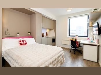 Roomgo UK - Classic Studio in the City Centre, Exeter - £948 pcm