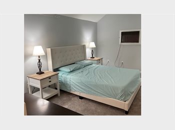 Roomgo US - Looking for respectful professional, Toledo - $600 pm