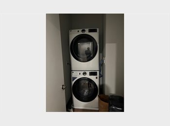 Roomgo US - Furnished room in a luxury apartment complex in Somerville with gym, pool, lounges, Medford Street / The Neck - $1,200 pm