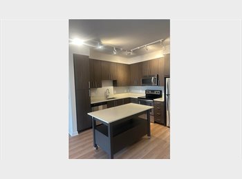 Roomgo US - Alade Room, Silver Spring - $1,250 pm