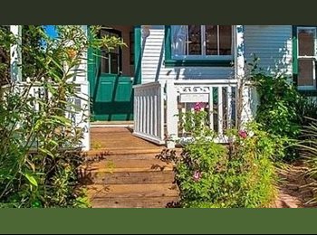 Roomgo US - ROOM for rent in SHARED beautiful bungalow two blocks from the beach, Ocean Park - $1,950 pm