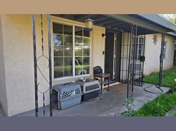 Roomgo US - serious female student wanted to share a home with 2 older ladies.  many cats share the house as wel, Tower District - $500 pm