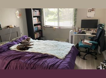 Roomgo US - Private Room + Bath in Spacious 2B/2B, La Jolla Heights - $1,550 pm