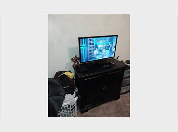 Roomgo US - Room for Rent $500, Hot Wells - $500 pm
