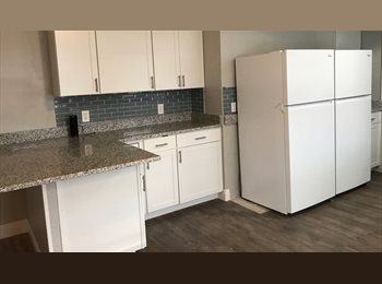 Roomgo US - Room Available utilities Wi-Fi bus lines more, Pine Castle - $825 pm