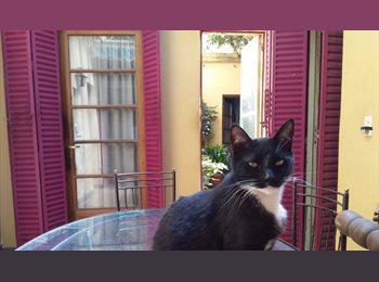 Roomgo AR - Habitacion individual NO HOSTEL, Capital Federal - AR$ 370.000 pm