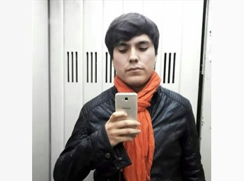 Roomgo AR - Bruno - 30 - Buenos Aires