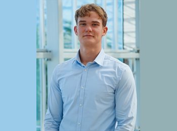 Roomgo AR - Miel - 21 - Capital Federal