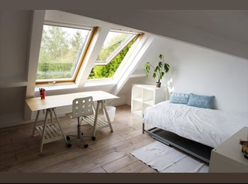 Appartager BE - Isabelle, 58 ans, Femme, salariée, Rhode-Saint-Genèse - 550 € pm