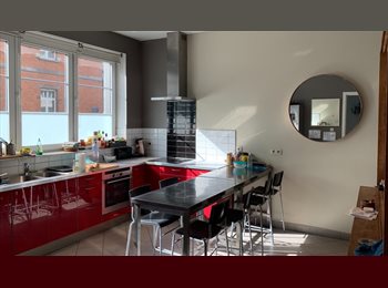 Appartager BE - Very nice room in and large building, shared by 9 young working people with int. background !!, Schaerbeek Schaarbeek - 475 € pm