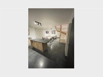 Appartager BE - [ Premium] Maison 4 chambre entièrement équipée, Rue Docteur Jacquerye , Quaregnon - 450 € pm