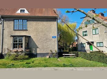 Appartager BE - Colloc à Boitsfort, Auderghem-Oudergem - 550 € pm