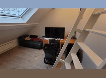 Appartager BE - Room in a bright flat in Saint-Gilles, Saint Gilles Sint Gillis - 827 € pm