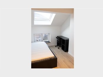 Appartager BE - Colocation jardin botanique rénovée, Liège - 430 € pm