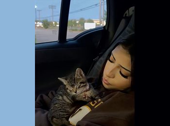 Appartager BE - Aurélia  - 19 - Beyne-Heusay