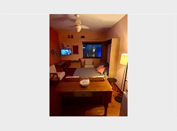 Roomgo BR - Studio apartment on the 20th floor in the heart of Consolação / Studio no 20º andar no coração da Co, São Paulo SP - R$ 207 Por mês