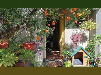 CompartoDepto CL - Beautiful and spacious two-floor house in a quiet place near the subway, Ñuñoa - CH$460.000 por mes