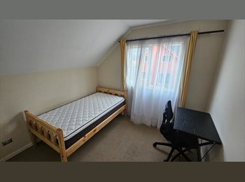 CompartoDepto CL - Busco roomie Puerto Montt, Puerto Montt - CH$230.000 por mes