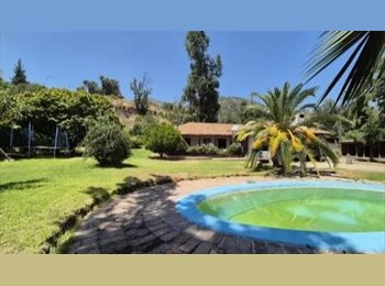 CompartoDepto CL -  ¡Busco Roomie Dog-Lover para Oasis en Pirque! ☀️, La Florida - CH$500.000 por mes