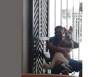 CompartoApto CO - Rodrigo  - 43 - Rionegro