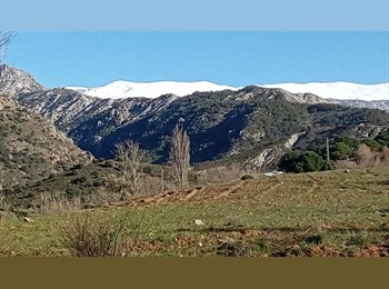 Roomgo ES - Se comparte chalet, Granada - 350 € por mes