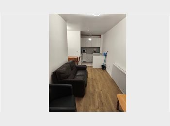 Roomgo IE - 3 beds apt for rent in Dublin 1, Dublin - €3,900 pcm