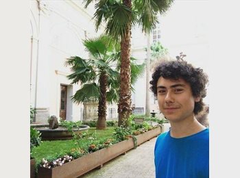 Roomgo IE - Daniele - 25 - Dublin