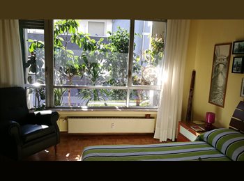 Roomgo IT - LUMINOSISSIMA MATRIMONIALE AD USO SINGOLA, Spinea - 550 € al mese