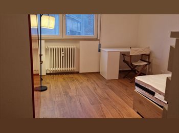 Roomgo IT - stanza singola grande  luminosa arredata appartamento ristrutturato a nuovo, Padova - 450 € al mese