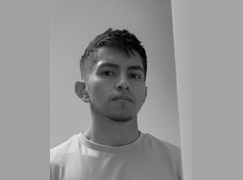 Roomgo IT - Orlando - 29 - Firenze