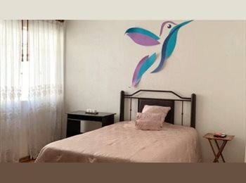 Roomgo MX - Rec. Amplia para Mujer en Roma Sur, Cuauhtémoc - MX$7,000 por mes
