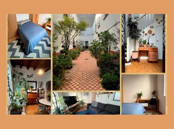 Roomgo MX - Se busca roomate, Cuauhtémoc - MX$10,500 por mes