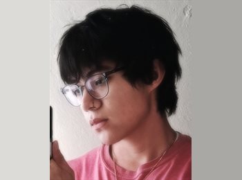 Roomgo MX - Alan Alcántara - 19 - México - D.F.